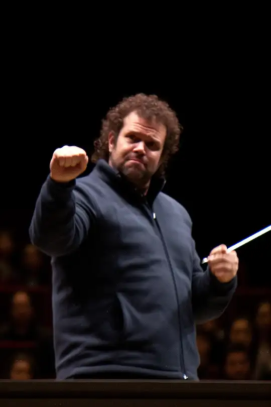 Afbeelding van een conductor