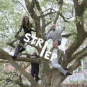 Profielafbeelding